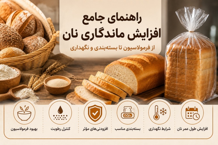 راهنمای جامع افزایش ماندگاری نان: از فرمولاسیون تا بستهبندی و نگهداری